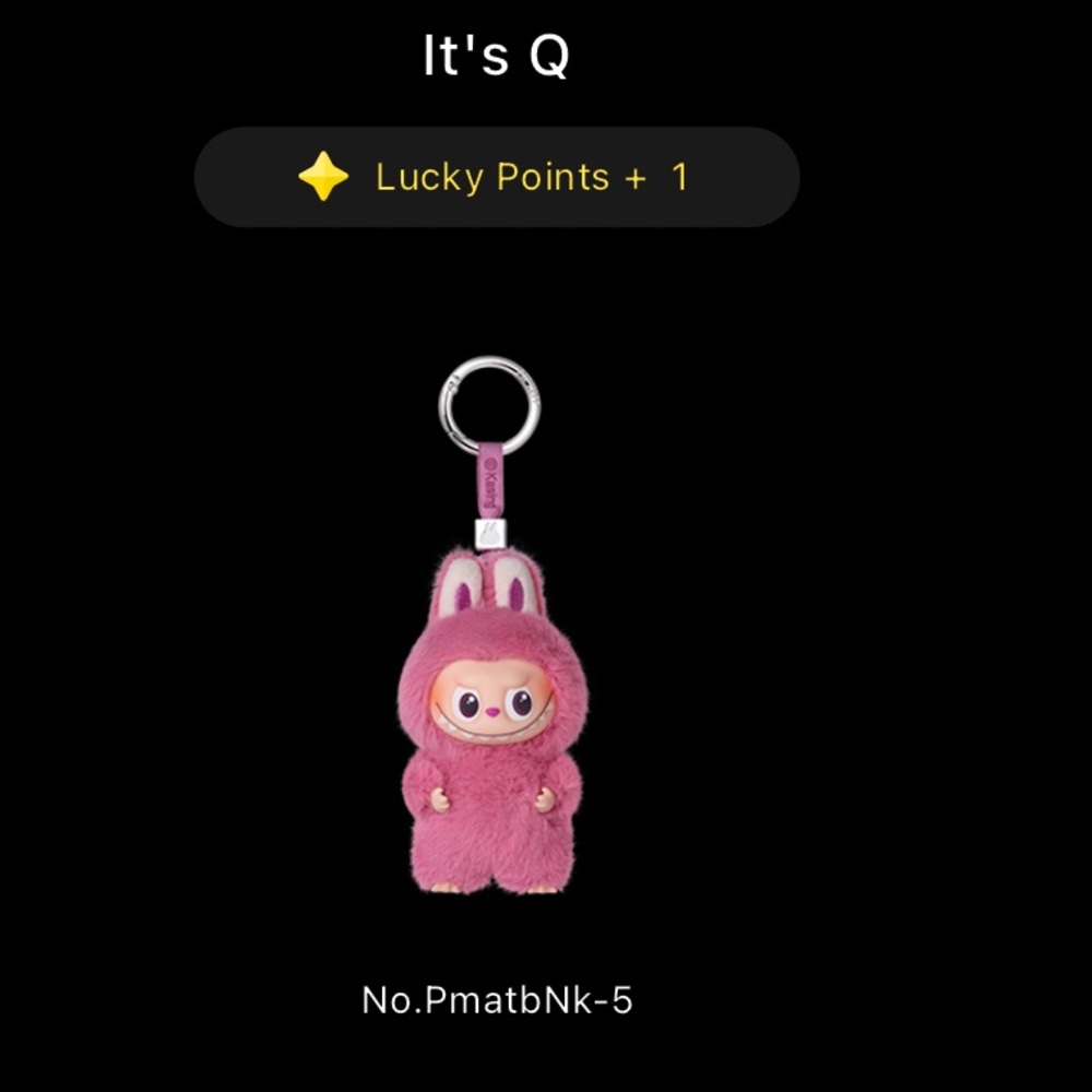 NIB Pop Mart Labubu Pin For Love Q Vinyl Plush